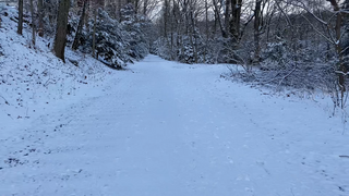 A snowy path