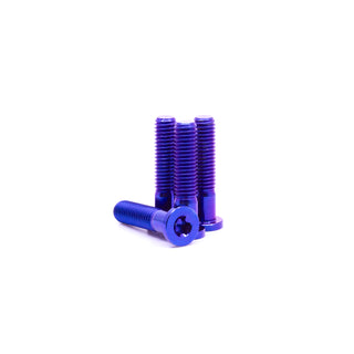 Tech Rails Titanium Axle Bolts